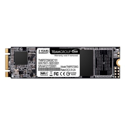 Team MS30 (TM8PS7256G0C101) 256GB, M.2 Sata Interface,Read 550MB/s, Write 470MB/s, 3 Year Warranty