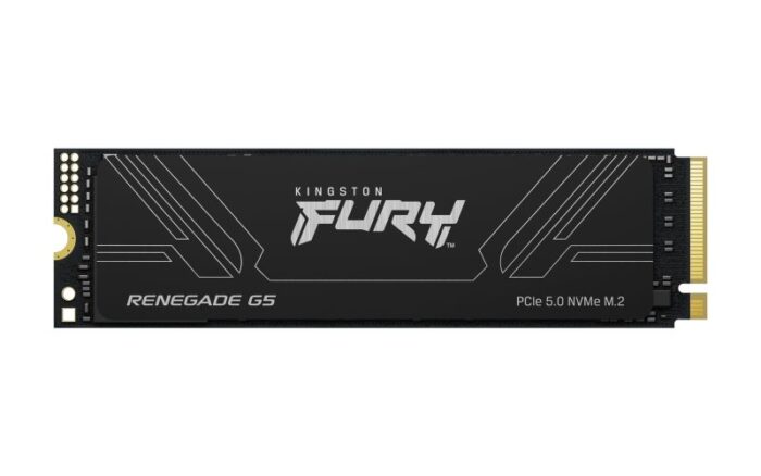 Kingston Kingston 2TB FURY Renegade G5 SSD